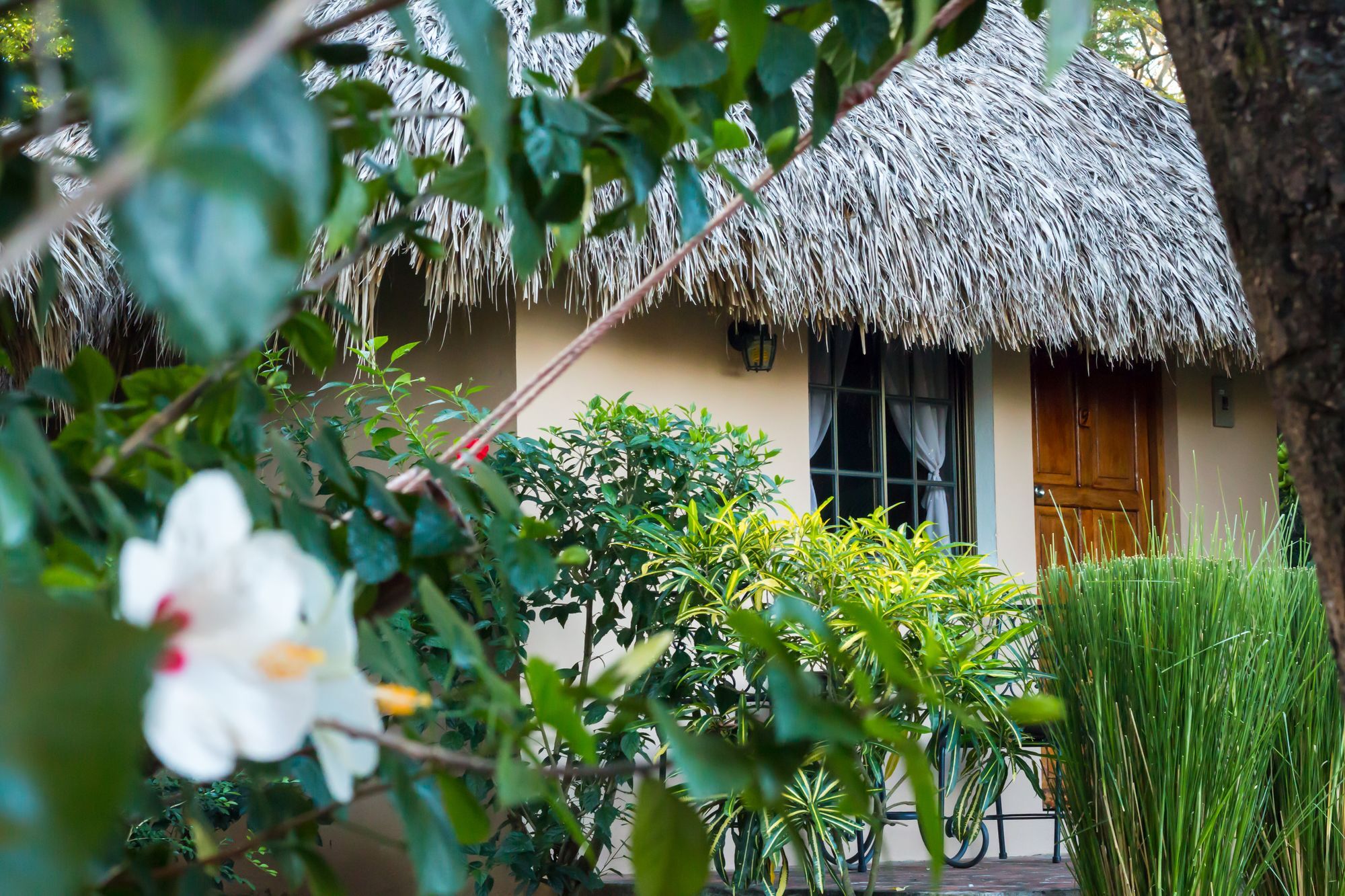 Hotel Mariposa León Exterior foto